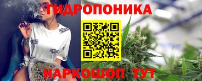 гашик Волжск