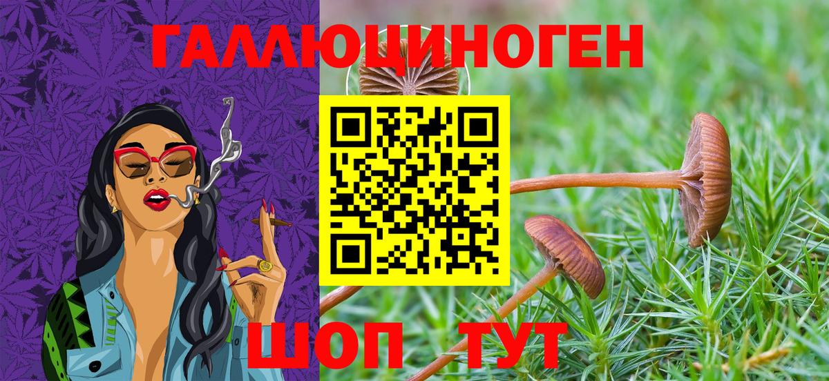 Галлюциногенные грибы Psilocybine cubensis  Вход с VPN  Галлюциногенные грибы Psilocybe  где найти наркотики  Полевской 
