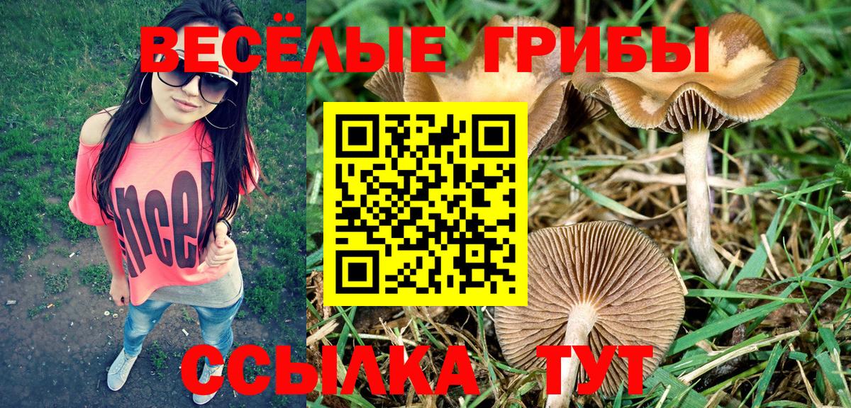 Псилоцибиновые грибы мухоморы Полевской